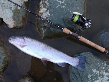 朝は爆風、午後は穏やか ～天竜川ルアーフライ専用区～